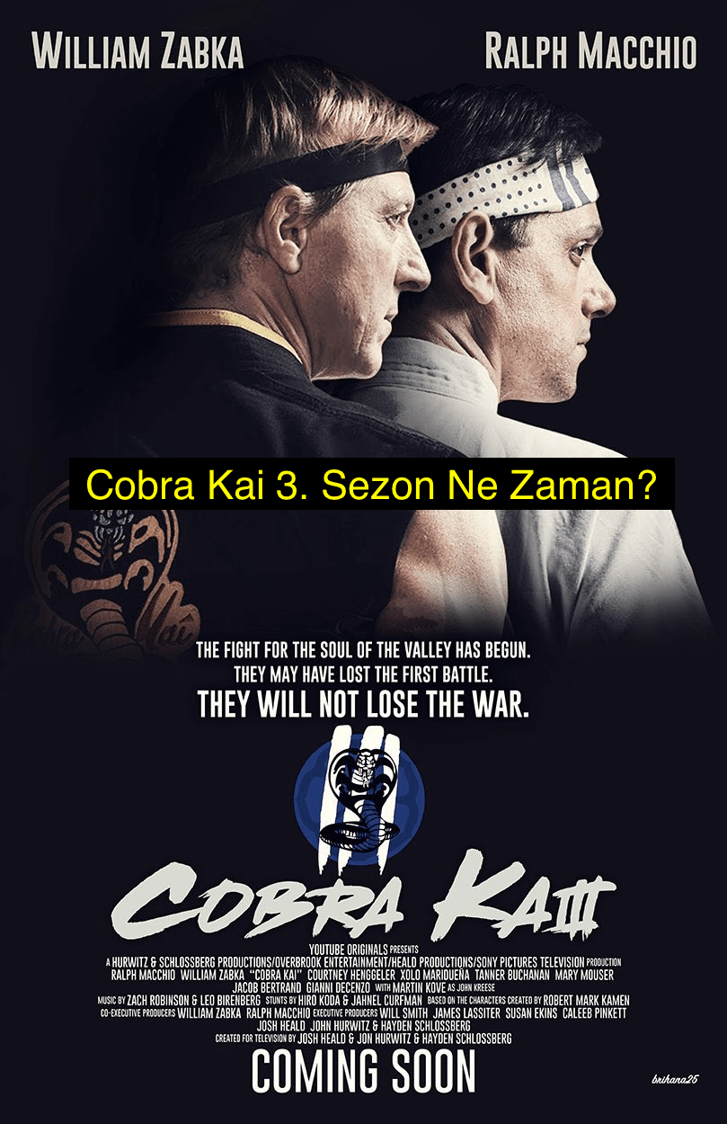 cobra kai season 3