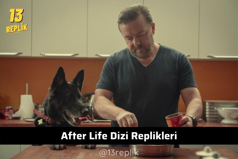 After Life Replikleri